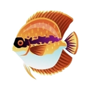 Bandito Discus